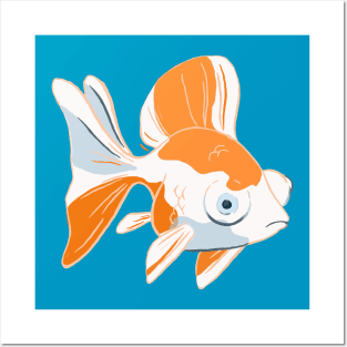 goldfish Posters and Art